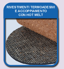 thermo adhesive coatings & hot melt lamination