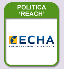 REACH Policy